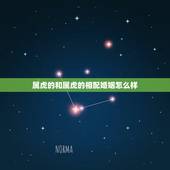 属虎的和属虎的相配婚姻怎么样，男虎女虎相克吗