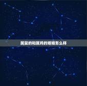 属鼠的和属鸡的婚姻怎么样，属鸡27岁和属鼠24岁婚姻