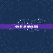 鸡和哪个属相财运更好，今天哪个属相财运更好