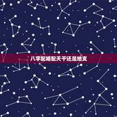 八字配婚配天干还是地支，男女婚姻方向及八字配婚谁能教教我？
