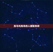 肖马与肖羊的人婚配怎样，属羊的和属马的婚姻如何？