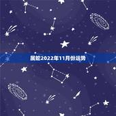 属蛇2022年11月份运势，1977属蛇46岁过后的命运