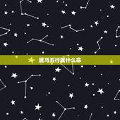 属马五行属什么命，1978年属马的到底是火命还是土命