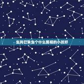 生肖巳未生个什么属相的小孩好，生什么属相的孩子最好