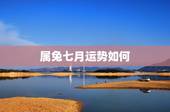 属兔七月运势如何，我老公属兔农历七月的今年运势怎么样