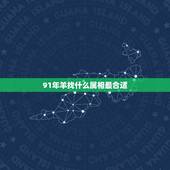 91年羊找什么属相最合适，属羊找属什么的比较好