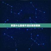 家里什么属相不适合摆放貔貅，什么属相的人不能带貔貅？