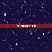 2026年属什么生肖，2026年马年是什么命