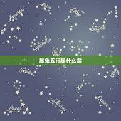 属兔五行属什么命，水兔命人五行属什么