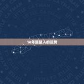 16年属鼠人的运势，2016属鼠人全年运势女