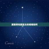 属猴男和属鼠女的婚姻如何，男属猴女属鼠配吗 详细