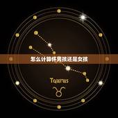 怎么计算怀男孩还是女孩，算怀男孩女孩的计算公式是什么