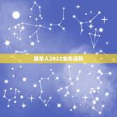 属羊人2022全年运势，属羊人2022年怎么样