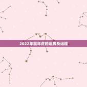 2022年鼠年虎的运势及运程，2022年虎年运程与运势