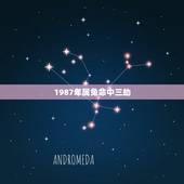 1987年属兔命中三劫，1987年属兔的什么命
