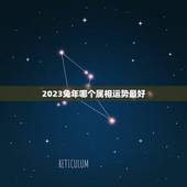 2023兔年哪个属相运势最好，兔年运势2021年运势如何