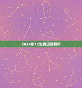2024年12生肖运势解析，2024年生肖运势详解