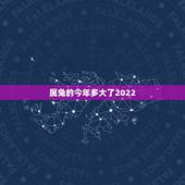 属兔的今年多大了2022，1975属兔2022