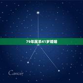79年属羊41岁婚姻，79年属羊的男性婚姻是怎样？