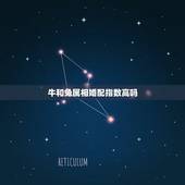 牛和兔属相婚配指数高吗，属兔和属牛的相配吗