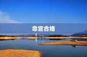 命宫合婚，命理合婚