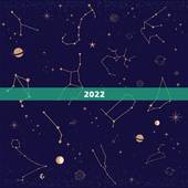 2022 年的牛宝宝命好吗，属牛人最苦命出生月份