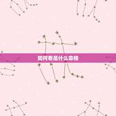 如何看是什么命格，如何算自己是什么命