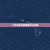 二字过后五赢钱是什么生肖，二字过后五赢钱，是多少数字