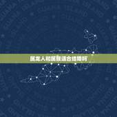 属龙人和属猴适合结婚吗，属龙和属猴的婚姻配吗