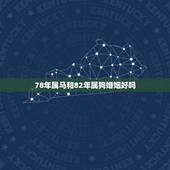 78年属马和82年属狗婚姻好吗，82年属狗的与78年属马的人会离婚吗？