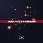 龙鸡的父母适合生什么属相的孩子，老公属龙我属鸡生属什么属的宝宝好