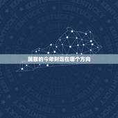 属猴的今年财运在哪个方向，属猴的今年3月运势怎么样