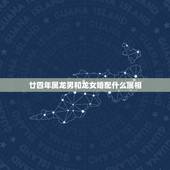 廿四年属龙男和龙女婚配什么属相，属龙的男跟什么属相相配