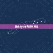 属虎的今年有没有财运，夫妻俩个都属虎今年的财运好吗？