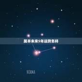 属羊未来5年运势怎样，属羊2018年运势及运程 羊年出生人2018年运