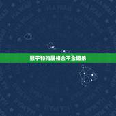 猴子和狗属相合不合姐弟，属狗与属猴的合不合