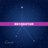 属鼠今年的运气运势，今年属鼠人财运怎么样