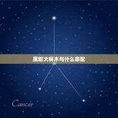 属蛇大林木与什么命配，大林木命是什么命