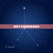 属兔今天和哪些属相相冲，属兔与什么属相相合，相冲？