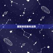 属蛇的在猴年运势，属蛇的人，猴年运气怎么样？