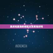 属虎和属兔的婚配女虎男兔好吗，女属虎男属兔能过一辈子吗？她们合适吗