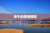 肖牛的属相婚配，属牛男性和什么属相女性最配