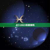 占卜2023年脱单吗，1981年属鸡女性和1993年属鸡男性一起结婚吗