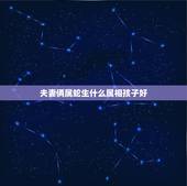 夫妻俩属蛇生什么属相孩子好，属蛇生什么属相孩子