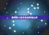 属鸡的人在牛年运势怎么样，81年属鸡40岁以后交运