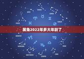 属兔2022年多大年龄了，属兔人何时行大运