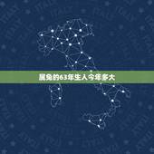 属兔的63年生人今年多大，1963年属兔59岁
