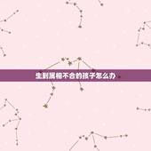 生到属相不合的孩子怎么办，儿子找的女朋友属鼠两人属相不合儿子一直不放手