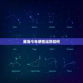 属兔今年感情运势如何，属兔今年爱情运势