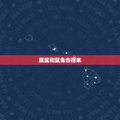 属鼠和鼠兔合得来，1996鼠与1999兔的婚姻